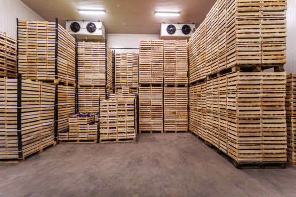 istock Fruits in crates ready for shipping. Cold storage interior. 1301367855