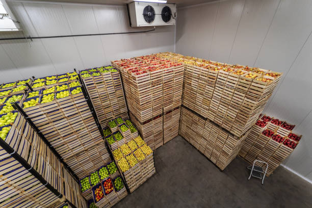 istock Fruits in crates ready for shipping. Cold storage interior. 1301367959