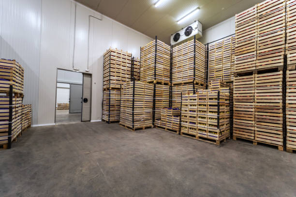 istock Fruits in crates ready for shipping. Cold storage interior. 1301368009