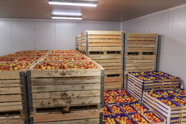 istock Fruits in crates ready for shipping. Cold storage interior. 1301368391