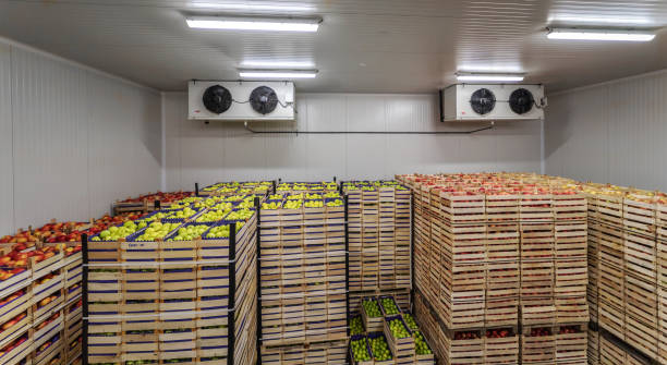 Fruits in crates ready for shipping. Cold storage interior. Fruits in crates ready for shipping. Cold storage interior. cold storage stock pictures, royalty-free photos & images