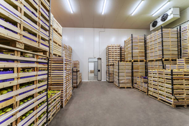 istock Fruits in crates ready for shipping. Cold storage interior. 1301368978