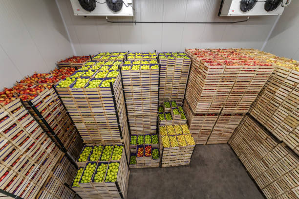 istock Fruits in crates ready for shipping. Cold storage interior. 1301369026