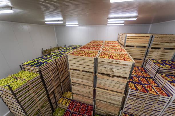 istock Fruits in crates ready for shipping. Cold storage interior. 1301369095