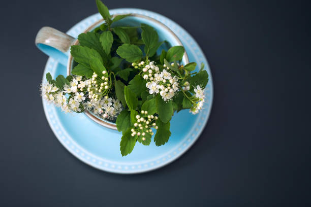 Ceramic vintage Cup and saucer and delicate white flowers on a simple dark background, spring tea background
