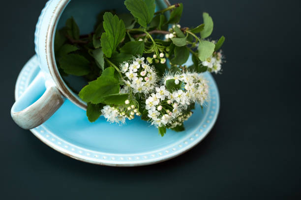 istock A light blue Cup with a saucer and delicate white flowers, a Cup lying on its side, decorated with a bouquet of spring plants 1301370660