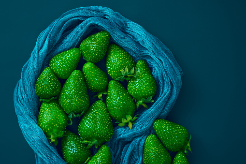 Green strawberries on a blue background