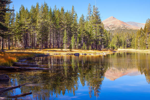 istock The Tioga Pass in Yosemite Park 1301374748