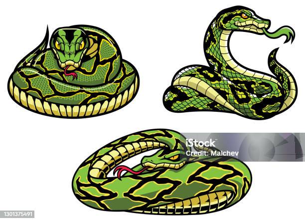 Evil Cartoon Snakes