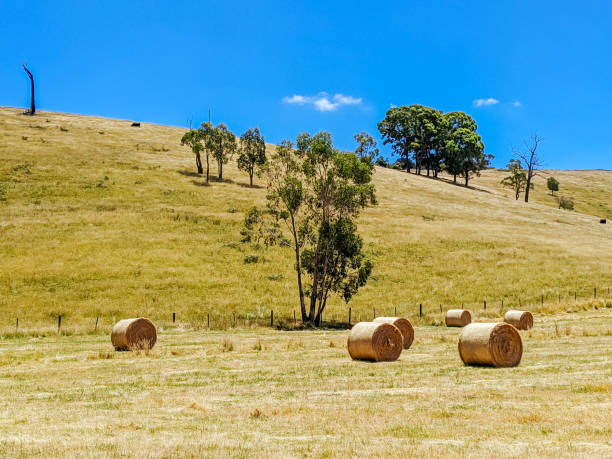 Victorian Rural Country in Australia