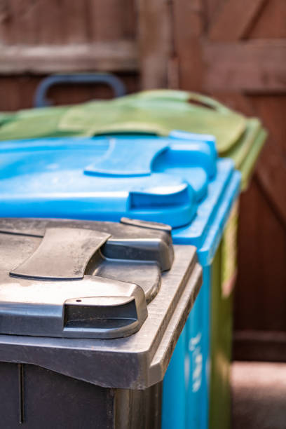 istock Domestic bins in a row 1301379610