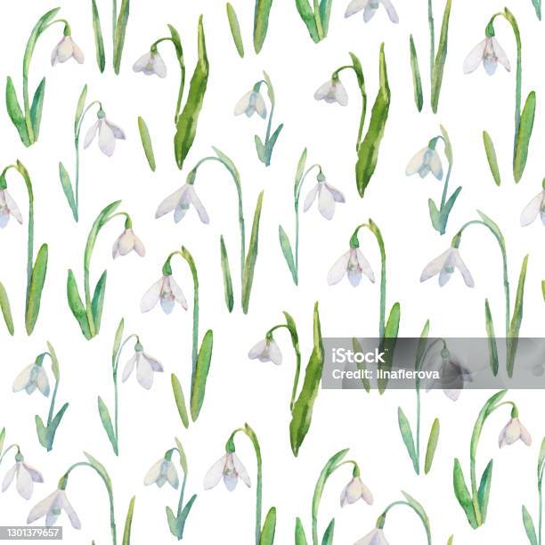 Snowdrop Repeat Pattern Vector Seamless Pattern With Watercolor Snowdrops A Repeating ...