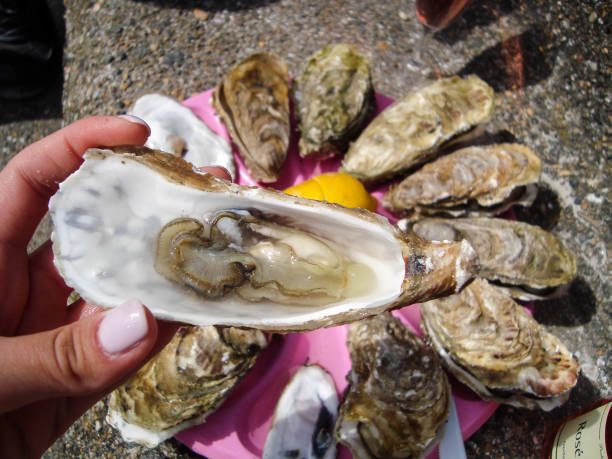 istock fresh sea oysters on a platter and sea view 1301380178