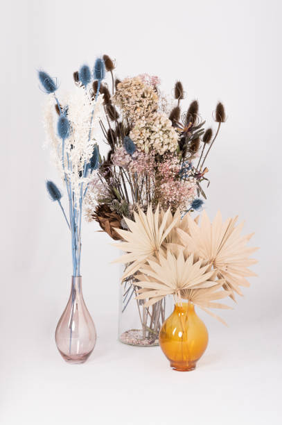 istock Ornamental dry grass in a vase 1301381426