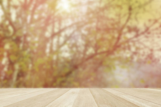 istock Empty top wooden table on clorful tree in auturmn 1301384084