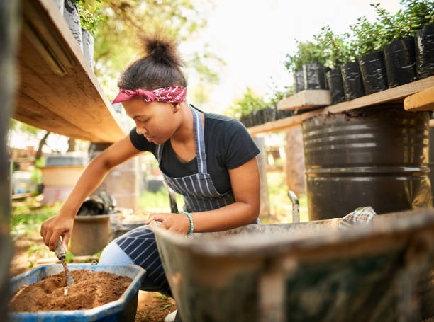 istock Young female horticulturist digging soil while working in her nursery 1301384717