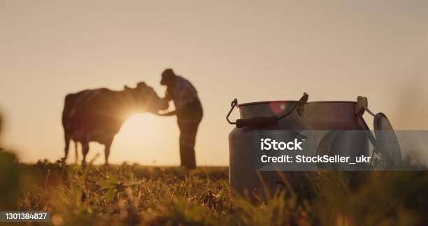 The Silhouette Of A Farmer Stands Near A Cow Milk Cans In The Foreground Stock Photo - Download Image Now