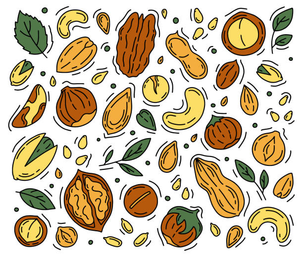 nuts and seeds zestaw ikon w stylu doodle. - nut walnut almond brazil nut stock illustrations