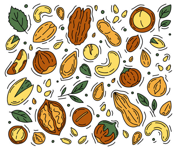 орехи и семена набор иконок в стиле doodle. - nut walnut almond brazil nut stock illustrations