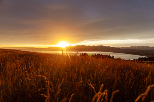 istock Colorful ocean beach sunrise with deep blue sky and sun rays. 1301387421