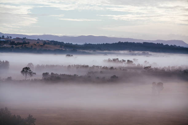 istock Hunter Valley Fog at Sunrise in Australia 1301390570