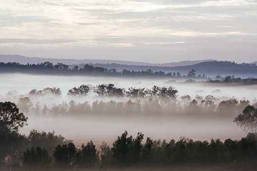 An aerial view across a valley at sunrise in the Hunter Valley, New South Wales, Australia