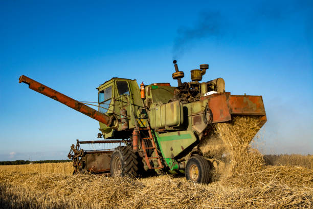 istock combine harvester on a wheat field with blue sky 1301394329
