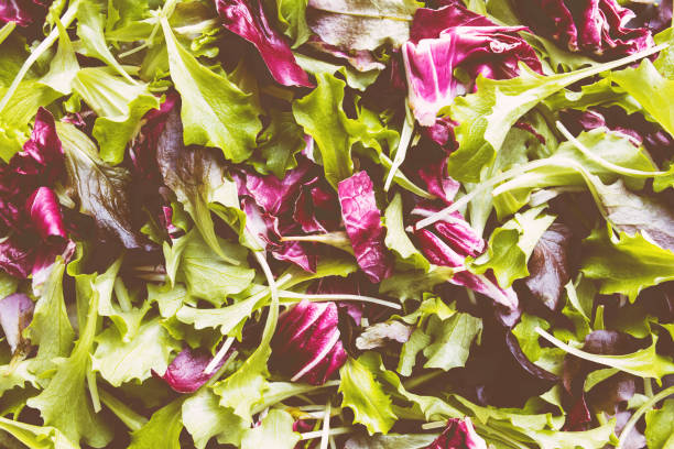 istock Green and purple salad leafs mix background. Filter applied for photo 1301395953