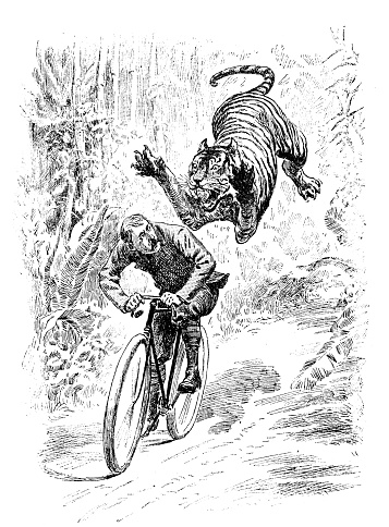 Antique illustration: Man and tiger