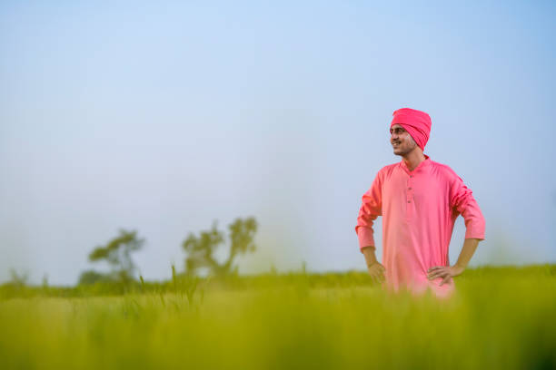 istock Young indian farmer standing at green wheat field 1301396870