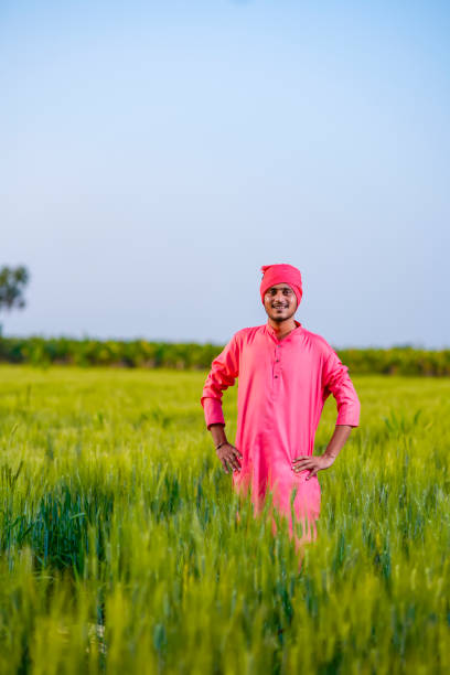 istock Young indian farmer standing at green wheat field 1301396893