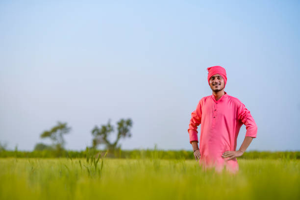 istock Young indian farmer standing at green wheat field 1301396911