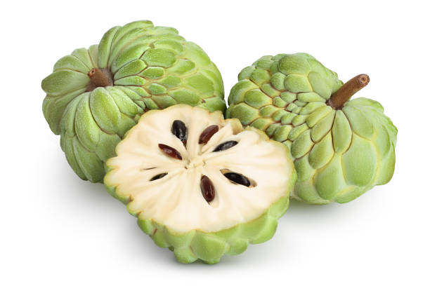 istock Sugar apple or custard apple isolated on white background with clipping path and full depth of field. Exotic tropical Thai annona or cherimoya fruit 1301399033
