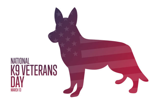 National K9 Veterans Day. March 13. Holiday concept. Template for background, banner, card, poster with text inscription. Vector EPS10 illustration. National K9 Veterans Day. March 13. Holiday concept. Template for background, banner, card, poster with text inscription. Vector EPS10 illustration veterans day logo stock illustrations