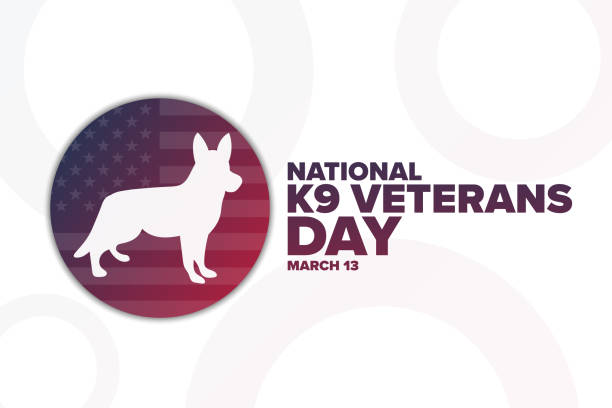 National K9 Veterans Day. March 13. Holiday concept. Template for background, banner, card, poster with text inscription. Vector EPS10 illustration. National K9 Veterans Day. March 13. Holiday concept. Template for background, banner, card, poster with text inscription. Vector EPS10 illustration veterans day logo stock illustrations