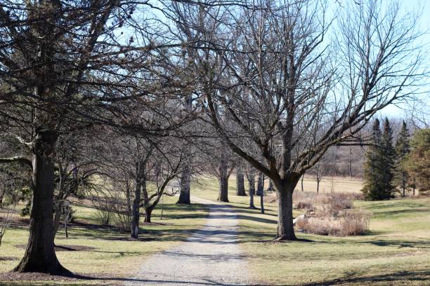 istock Gravel Country Road 1301400168