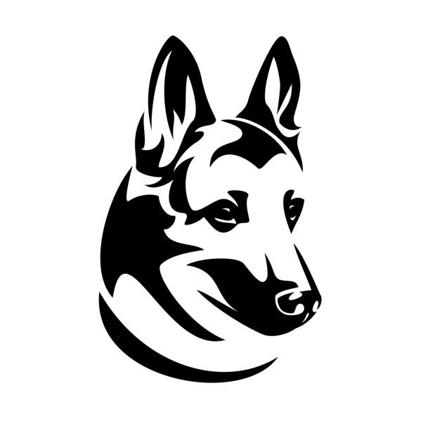 malinois owczarek pies czarno-biały zarys głowy wektora - german shepherd illustrations stock illustrations