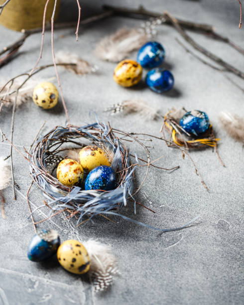 istock Quail easter eggs with feathers in nest on brown table with copy space. 1301400343