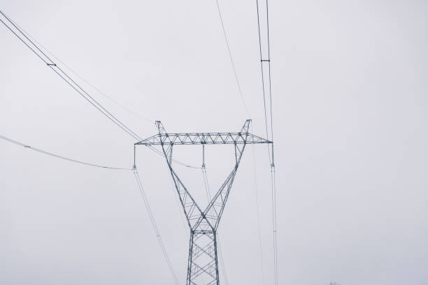 istock Electricity pylon in the country side 1301401570