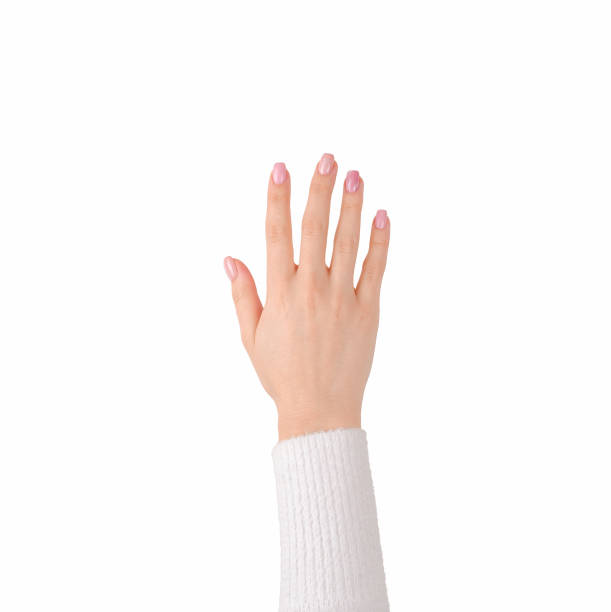 istock caucasian woman hand isolated on white 1301402537