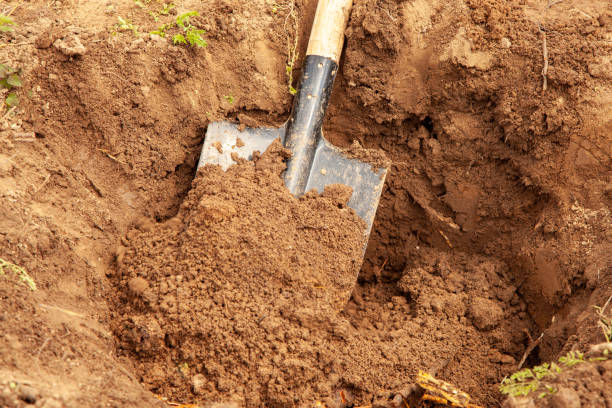 Digging a Hole for Planting a Tree stock photo