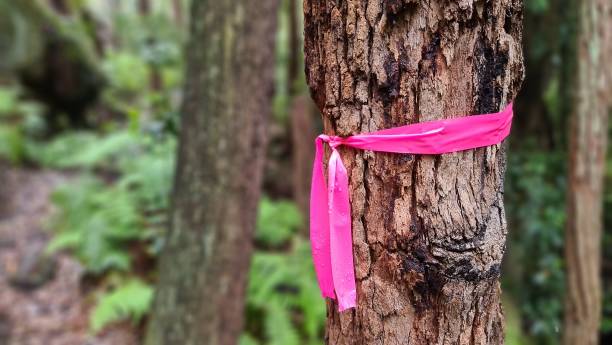 istock Australian bush trail marker 1301405370