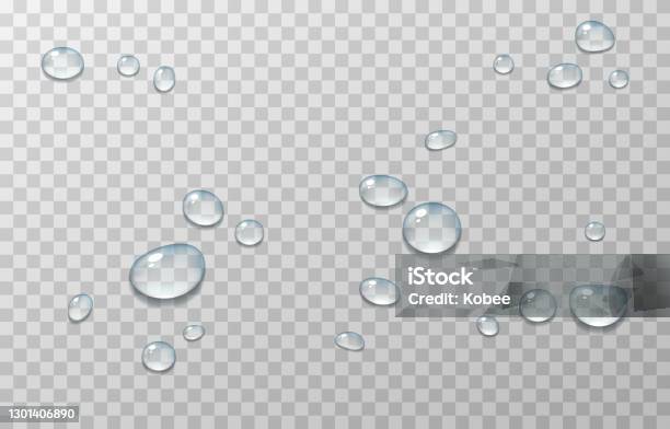 Vektorwassertropfen Pngtropfen Kondensation Auf Dem Fenster Auf Der Oberfläche Realistische Tropfen Auf Einem Isolierten Transparenten Hintergrund Stock Vektor Art und mehr Bilder von Wasser
