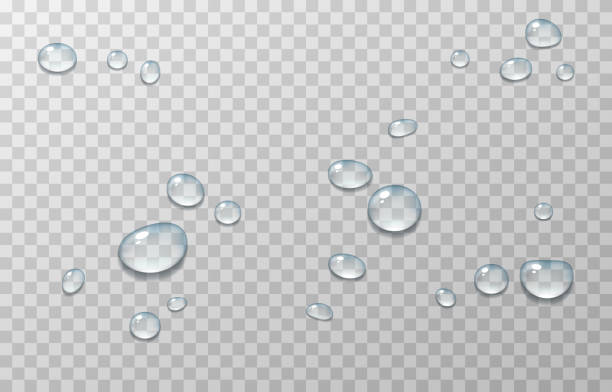 벡터 물이 떨어집니다. png는 표면에, 창에 응축, 드롭합니다. 격리된 투명 배경에 사실적인 드롭. - waterdrops stock illustrations