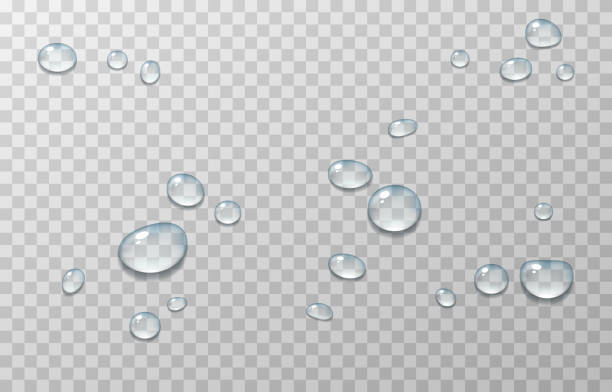Vector water drops. Drops, condensation on the window, on the surface. Realistic drops on an isolated transparent background. Vector water drops. Drops, condensation on the window, on the surface. Realistic drops on an isolated transparent background. Vector. rain drop stock illustrations
