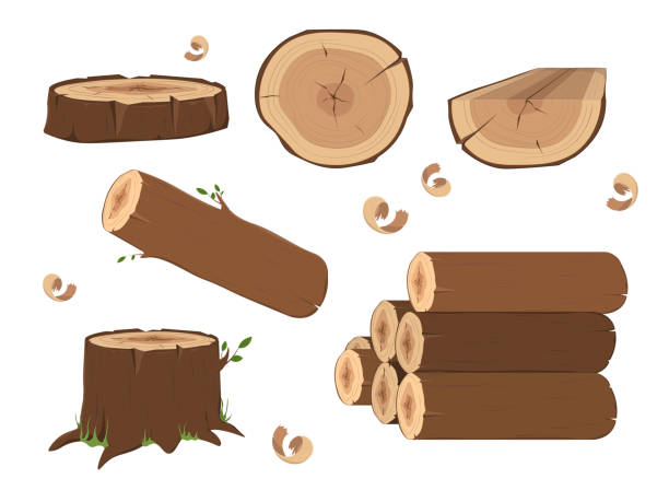 drewniane elementy, drewno drewna drewna i pnie drzew. drewniane pnie. ułożony materiał drzewny, gałązka tułowia i gałązki z drewna opałowego. pniak drzewa - tree ring stock illustrations