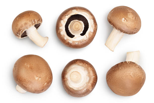 istock Royal Brown champignon with leaf parsley isolated on white background with clipping path. Top view. Flat lay. Set or collection 1301411325