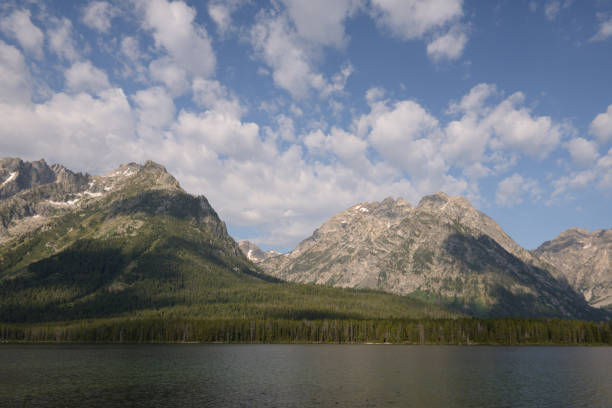 lago leigh no parque nacional grand teton - nature reflection grand teton teton range - fotografias e filmes do acervo