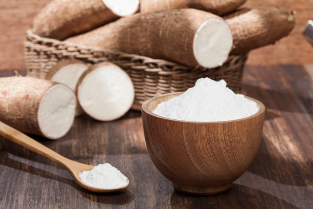 istock Organic raw Cassava Root Starch - Manihot esculenta. 1301414528