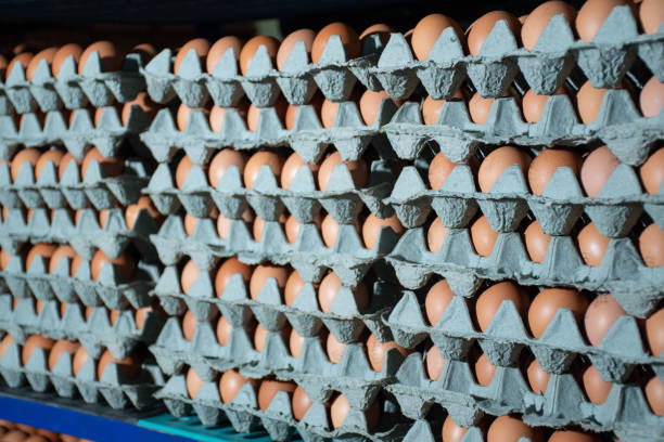 istock Chicken eggs in cardboard box on shelves. 1301416956